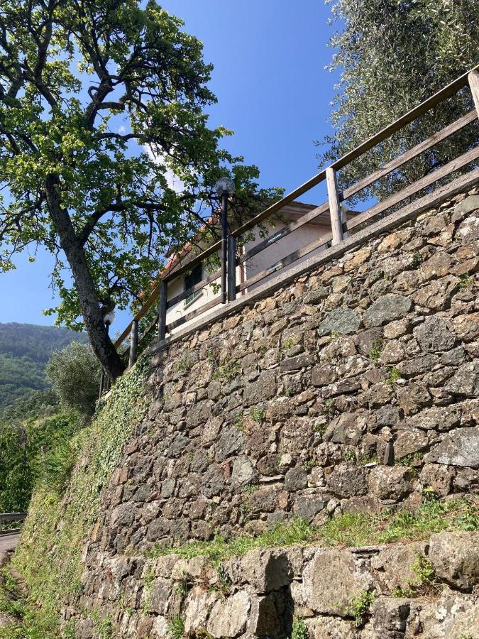 La Casa Di Amelia Borzonasca